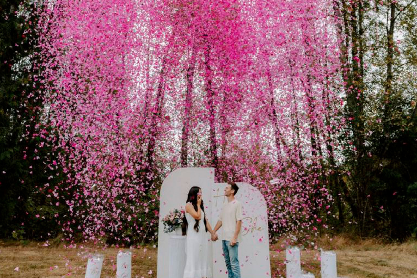 Gender reveal, ejemplo 1